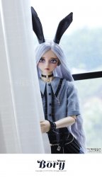 [Pre-Order Deadline : 2023-07-14 (HKT15:00)] BORY Head Limited